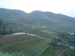 Longsheng Terraces Private Tour